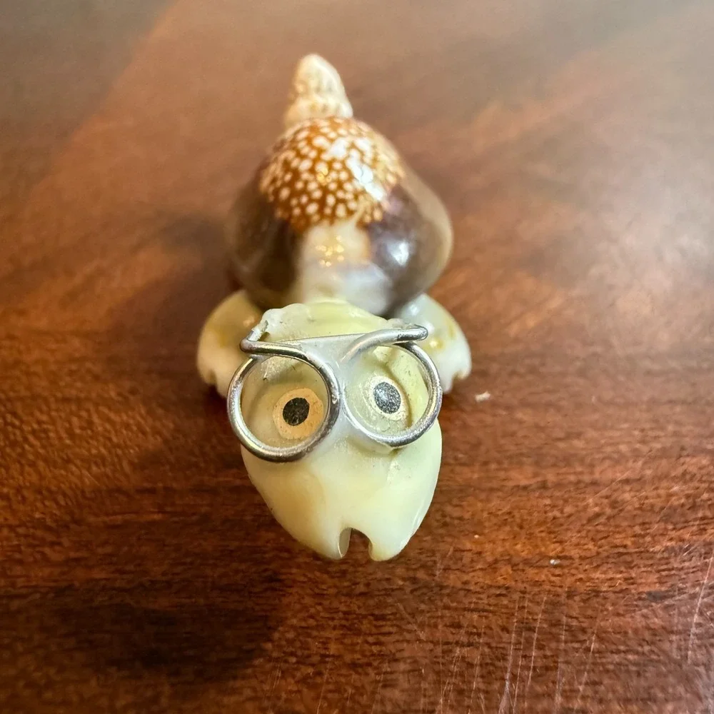 Seashell Turtle Miniature Wearing Glasses‎ Figurine Real Shell
